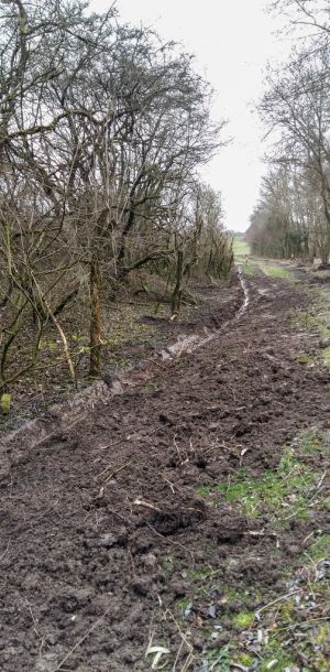 20160216 baggereinsatz sanierung krebslache 20 4526068d