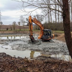 20160216 baggereinsatz sanierung krebslache 22 82f29606