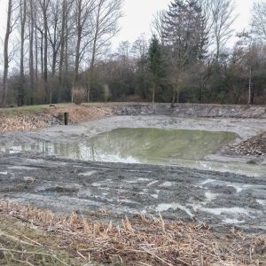 20160216 baggereinsatz sanierung krebslache 3 86093045