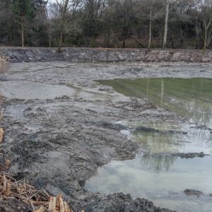 20160216 baggereinsatz sanierung krebslache 4 dbe29bba