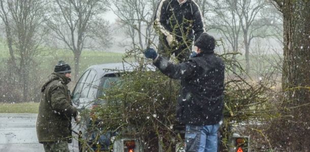 20160220 arbeitseinsatz sanierung krebslache 1 853a9087