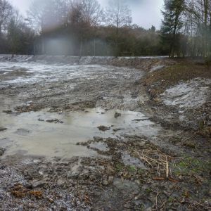 20160220 arbeitseinsatz sanierung krebslache 11 2f9e241a