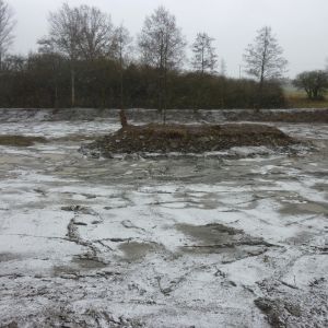 20160220 arbeitseinsatz sanierung krebslache 4 905b6a03