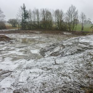 20160220 arbeitseinsatz sanierung krebslache 5 cdb78084