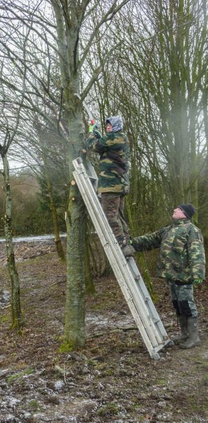 20160220 arbeitseinsatz sanierung krebslache 8 7f3d133c