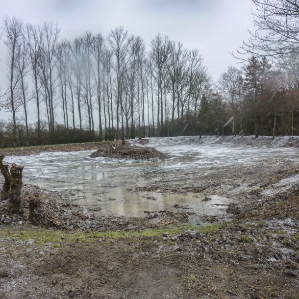 20160220 arbeitseinsatz sanierung krebslache 9 69bec224