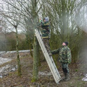 Arbeitseinsatz Sanierung Krebslache 20.2.2016