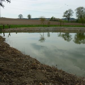 20160430 sanierung krebslache 46 cc910fc2