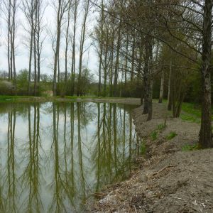 20160430 sanierung krebslache 48 a788699b