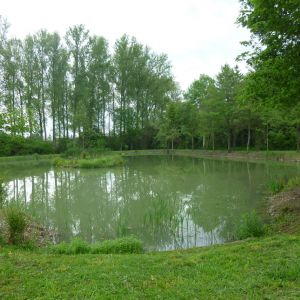 20160529 sanierung krebslache 51 f25740e0