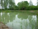 20160529 sanierung krebslache 52 cf56a87c