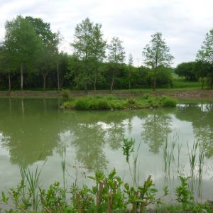 20160529 sanierung krebslache 54 a77e6d54