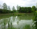 20160529 sanierung krebslache 56 94d85ac0