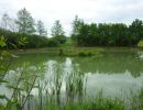 20160529 sanierung krebslache 58 ef822f27