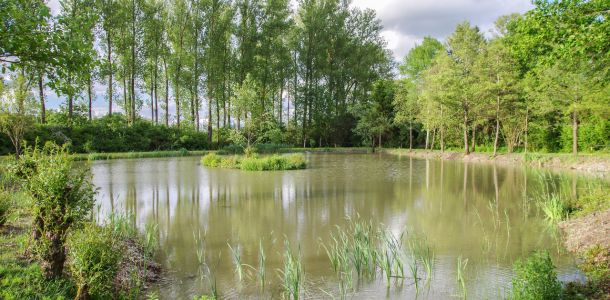 20160530 angeln jagst abschlussfest sanierung krebslache 22 a4efccb3
