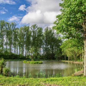 20160530 angeln jagst abschlussfest sanierung krebslache 23 bd1f393f