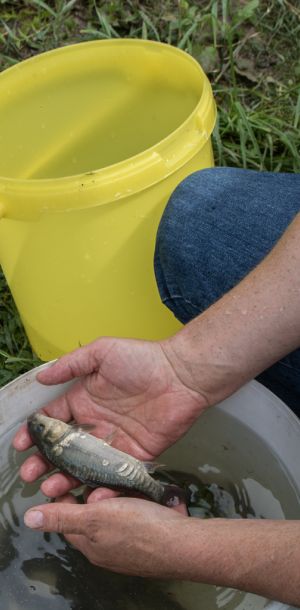 20160605 angeln jagst abschlussfest sanierung krebslache 12 2d7add92