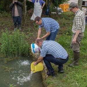 20160605 angeln jagst abschlussfest sanierung krebslache 13 81746306