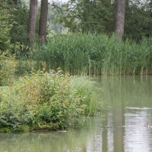 20160605 angeln jagst abschlussfest sanierung krebslache 2 ff667d54
