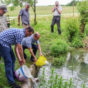 20160605 angeln jagst abschlussfest sanierung krebslache 57 a8b74c9b