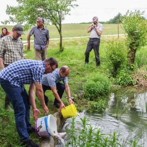 20160605 angeln jagst abschlussfest sanierung krebslache 58 39dd602c