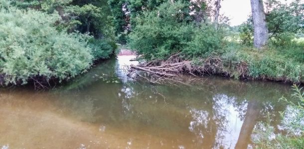 20160717 jagstpegelabsenkung 2 71cdcc0b