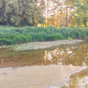 20160720 jagstpegelabsenkung 13 35496925