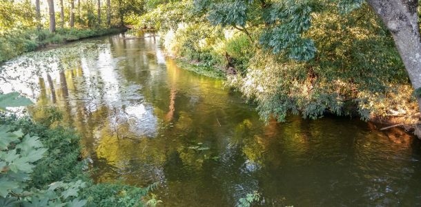 20160720 jagstpegelabsenkung 17 bdb25148