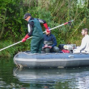 20161012 elektrobefischung jagst 12 a3ad67cf