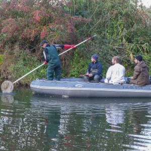 20161012 elektrobefischung jagst 13 dc84a2dc