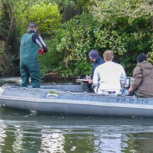 20161012 elektrobefischung jagst 14 204f0ad9