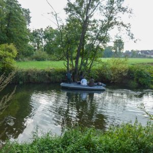 Elektrobefischung Jagst 12.10.2016