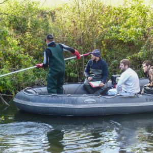 20161012 elektrobefischung jagst 23 33cc6bdc