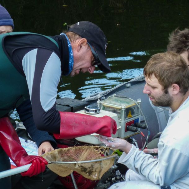 20161012 elektrobefischung jagst 24 64f4d78d