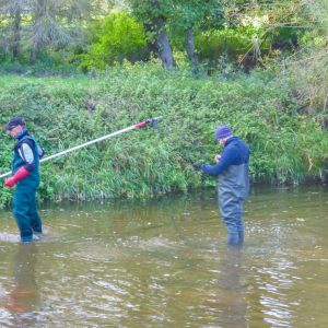 20161012 elektrobefischung jagst 25 e75c96fa