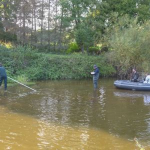 20161012 elektrobefischung jagst 26 65d3ce4d