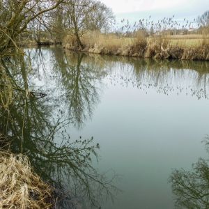 20170226 jagst 1 0420780b