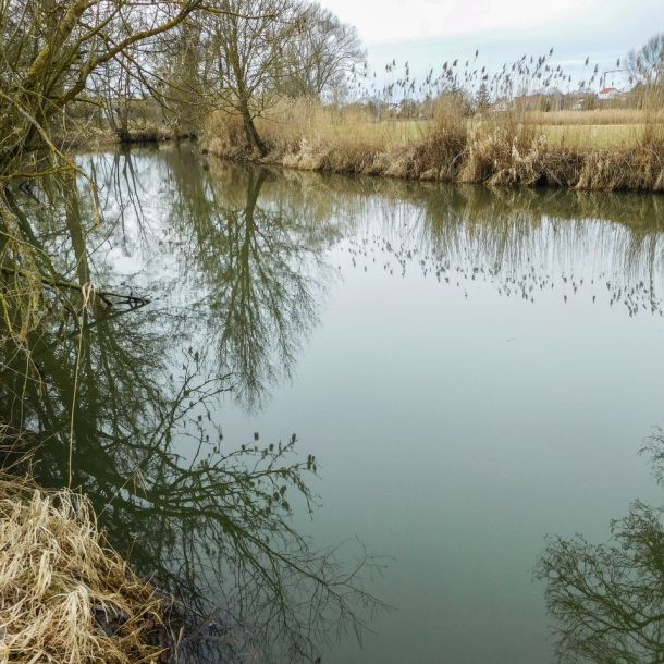 20170226 jagst 1 0420780b