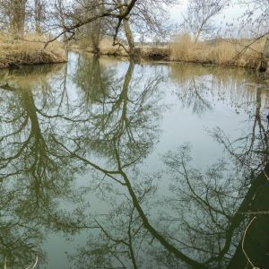 20170226 jagst 2 8069d20f