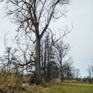 20170226 jagst 3 bf76061d