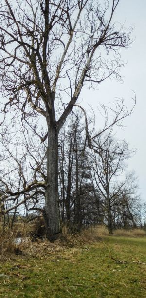 20170226 jagst 3 bf76061d