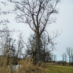 20170226 jagst 4 a24cfb27