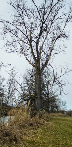 20170226 jagst 4 a24cfb27