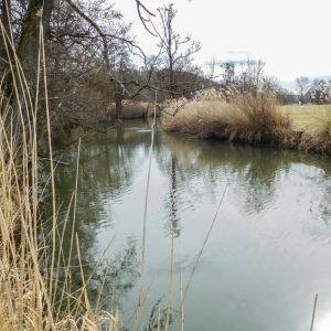 20170226 jagst 5 1c85634c