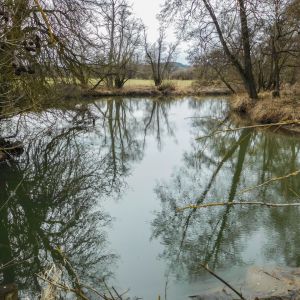 20170226 jagst 6 94d1d01b