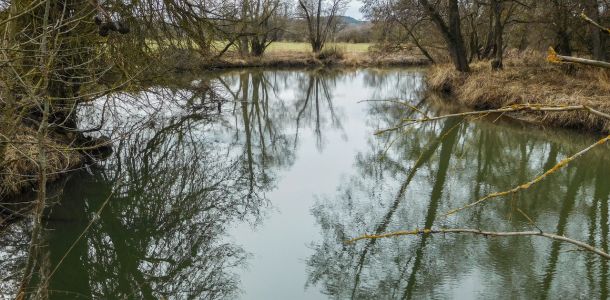 20170226 jagst 6 94d1d01b