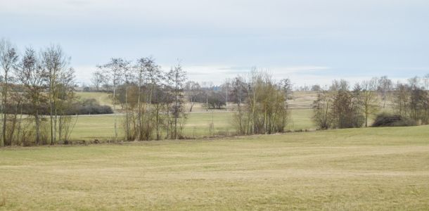 20170226 steinbach 1 9f288010