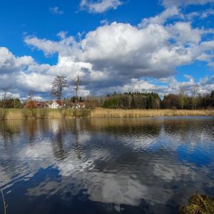 20170305 fleckenbachsee maerz 2017 2 cca0959c