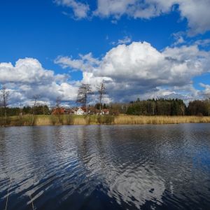 20170305 fleckenbachsee maerz 2017 3 91ac02b3