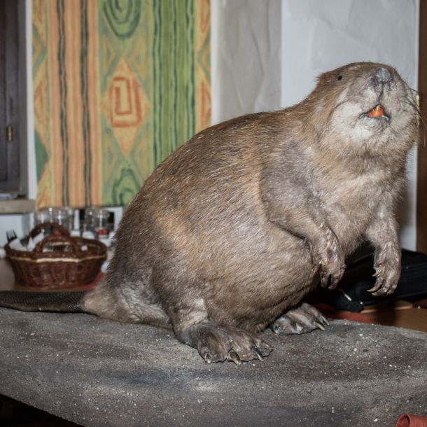 20170311 hauptversammlung 22 8c4c46f2